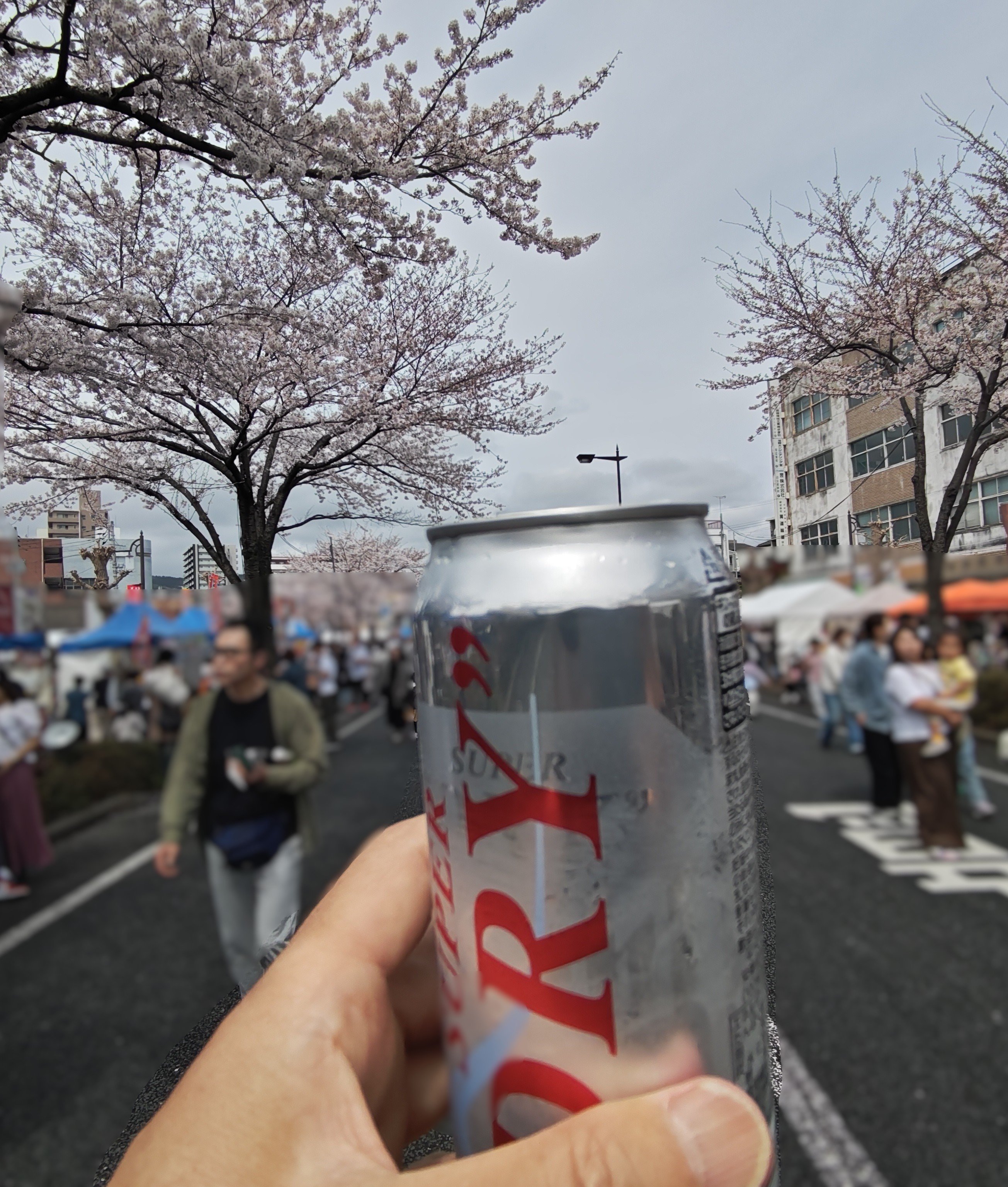 中野さん　完走後の花見て一杯　260405.JPG