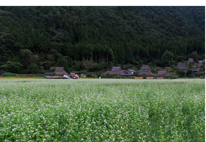 豊穣の里スライド_宮地さん.gif