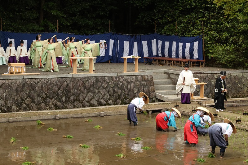 Https Syoujukai Kinki A Top Data 20240601 E3 81 8a E7 94 B0 E6 A4