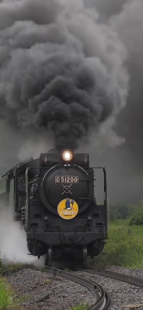 IMG_85 51.PNG