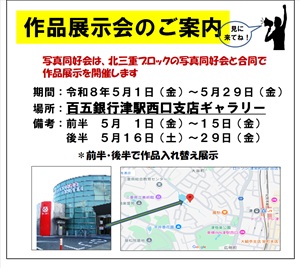 写真作品展.jpg