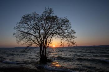 湖畔の夕映え.jpg