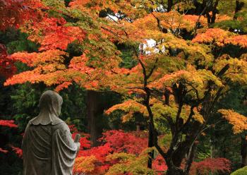 紅葉見る仏像.jpg