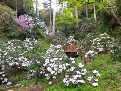 IMG_2025-04-19-06-43-49-404.jpg