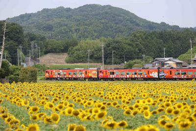 森本ひまわりとアンパン列車.JPG