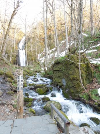 山川義和．残雪の奥入瀬渓流．雲居の滝１.JPGのサムネイル画像のサムネイル画像