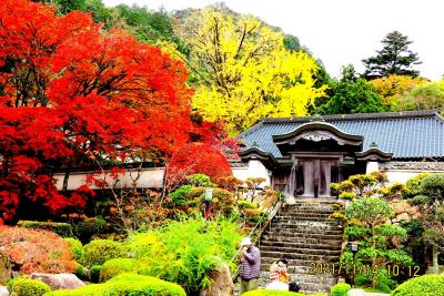4山田さん　大窪寺の紅葉.jpgのサムネイル画像