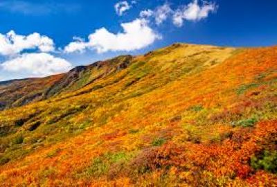 栗駒山紅葉261001.jpg